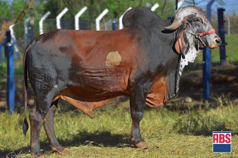 Imagem de GALAX