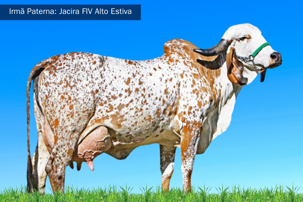 Imagem de GALAX