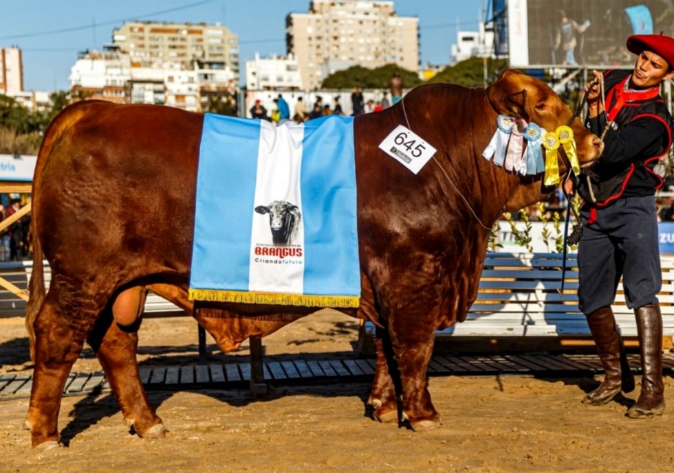Imagem de CAUTIVO