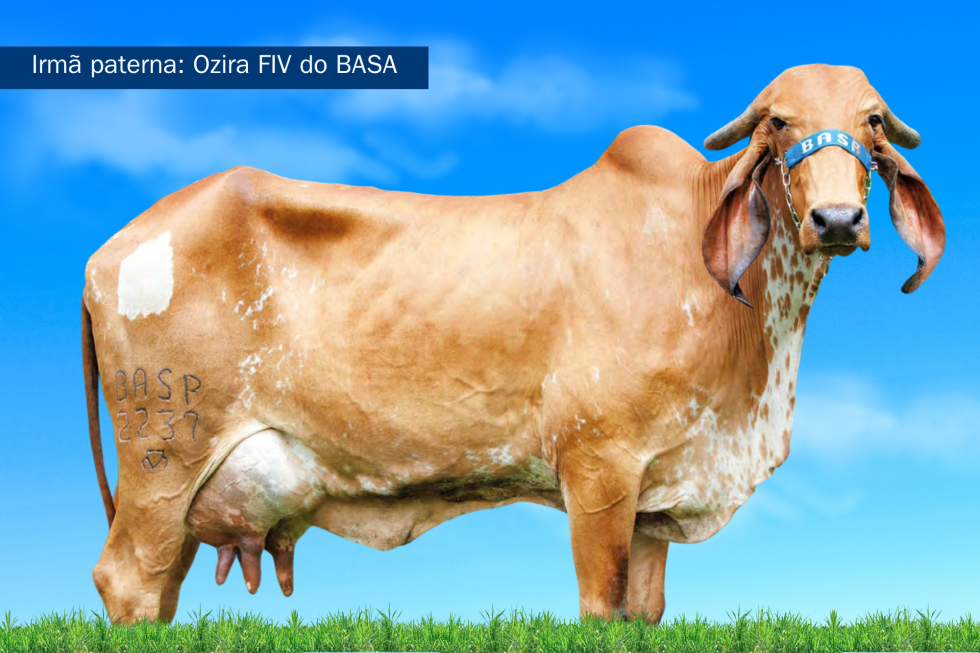 Imagem de GALAX