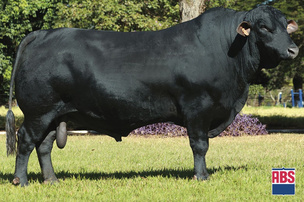 Imagem de Sigma K175 ULTRA