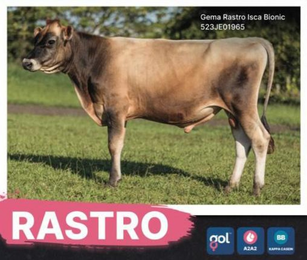 Imagem de RASTRO (SEXADO Ultraplus)