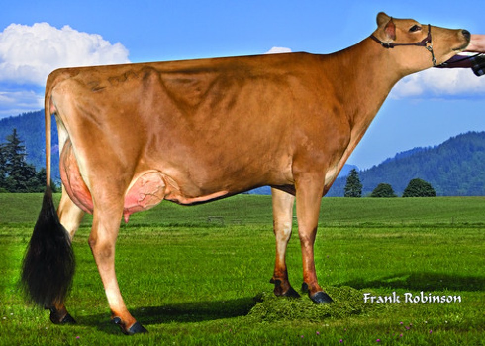 Imagem de WYOMING