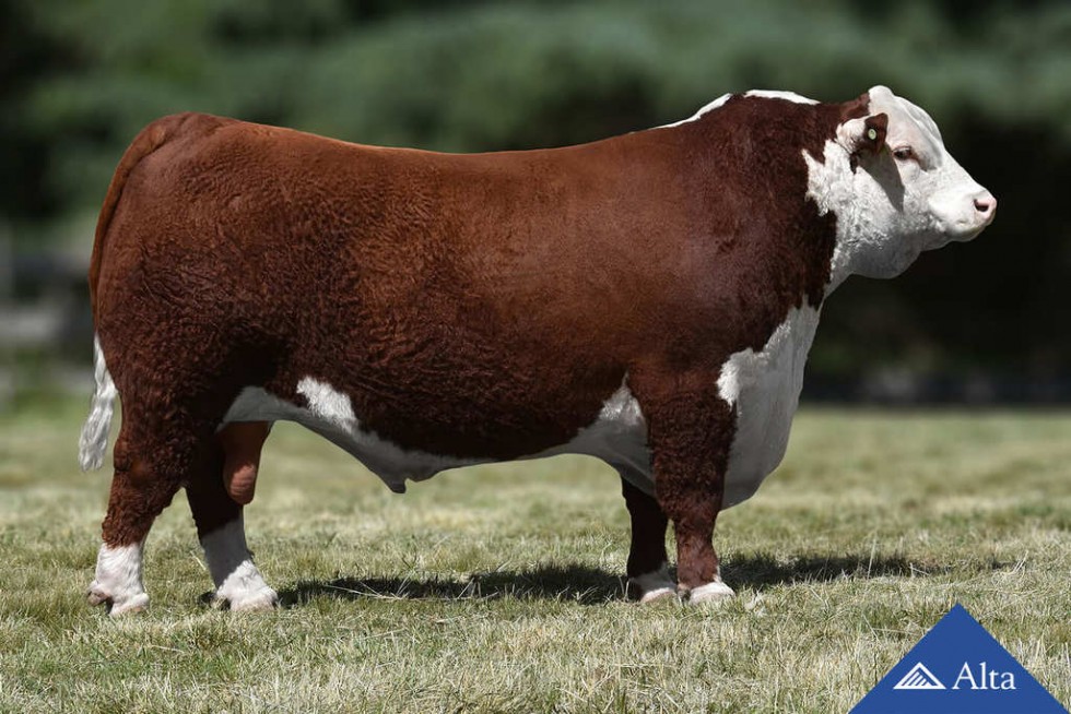 Imagem de TOP RANCH