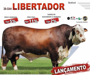 LIBERTADOR