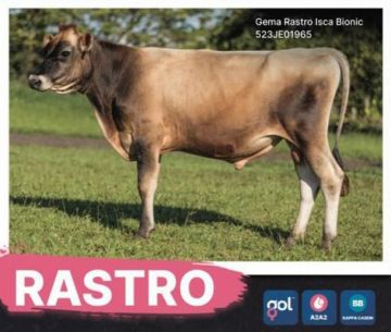 RASTRO (SEXADO Ultraplus)